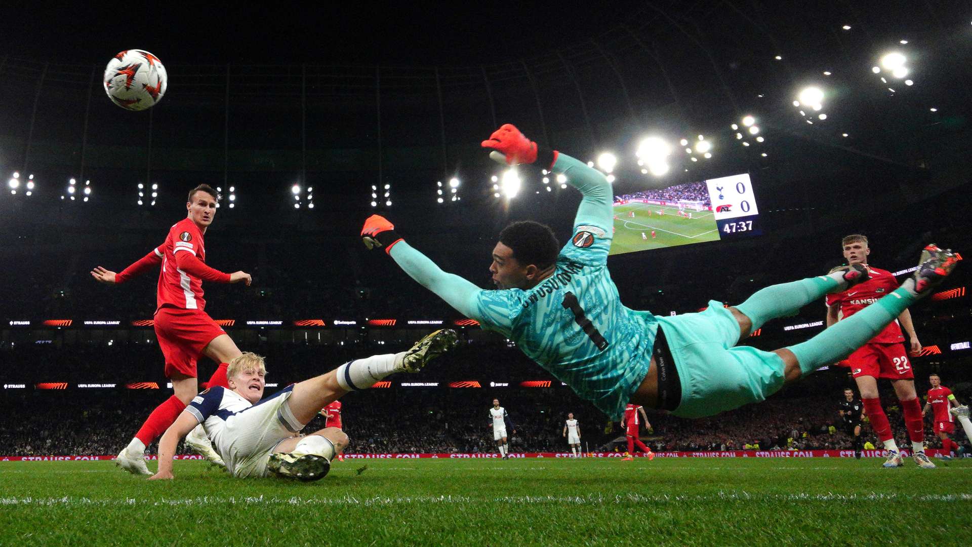 阿雷奥拉的 阿雷奥拉的